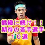 【錦織に続け！】期待の若手テニスプレーヤー１０人【男子日本人テニス】