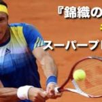 【テニス】『錦織の親友』悲願のTOP10を達成したファン・モナコを紹介！！【スーパープレイ】