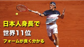 【テニス】日本人平均身長で、世界11位！シュワルツマン最高！！【スーパープレイ】tennis schwartsman