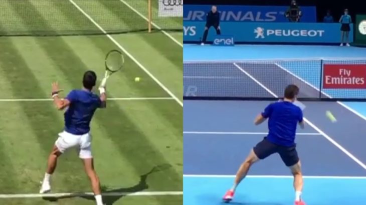 Milos Raonic and Novak Djokovic Comparison ジョコビッチとラオニッチの動画