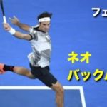 【テニス】テニス界の神による、ネオ・バックハンド集【フェデラー】tennis federer backhand