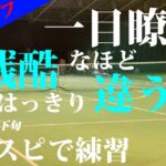 【テニス】インスピのまっすーさんと練習atインスピリッツテニスクラブ【tennis】