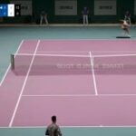 [PS4 TVGAME] Nishikori VS Aliassime Tennis World Tour 2