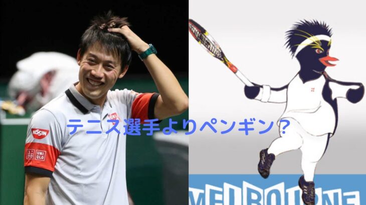 衝撃 錦織圭 子供の頃の夢はペンギンになることだった テニス動画まとめ
