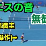 【テニスの音】錦織圭VSナダル(COM) Tennis World Tour 2 音フェチ【ASMR】