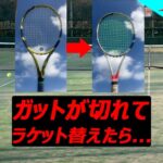 【テニス/シングルス】ピュアアエロをピュアストライクに変えたら…【TENNIS】