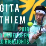 杉田祐一 vs ティーム/Sugita vs Thiem Halle 2018 Extended Highlights