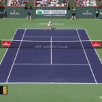 Federer (フェデラー) VS Krajinovic (クライノビッチ)
