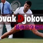 【テニス】守備しながら攻撃！？世界王者ジョコビッチのカウンター！！【ジョコビッチ】【スーパープレー】 Novak Djokovic