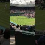 Novak Djokovic【Wimbledon 2016】ジョコビッチがウィンブルドン #Shorts