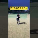 ボール缶キャッチ🎾　#tennis #tstyle26 #shorts #福岡テニススクール