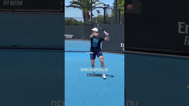 DENIS SHAPOVALOV Forehand Slow Motion 🔥🎾 Court-Side Tennis Angle #Shorts #Tennis