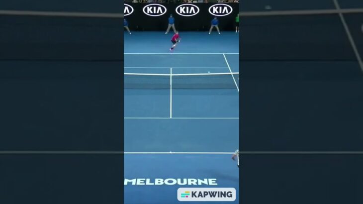 Stunning Point Wawrinka vs Federer AO SF 17 #shorts #tennishighlights  #tennis #federer #sports