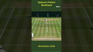 Djokovic Perfect Backhand vs Anderson || ジョコビッチ