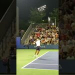 Tennis zone| Tennis player