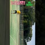 全日本ベテランテニス前日練習#shorts#tennis#全日本ベテランテニス