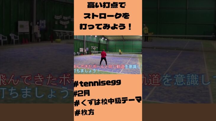 【tennis egg】2月期　くずは校中級レッスンテーマ　#shorts 【テニス】